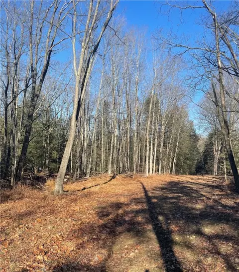 0 Mason Dixon Hwy, Salisbury, PA 15558