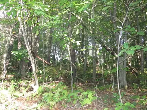 lot228 R Shearsburg Rd, New Kensington, PA 15068