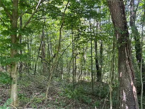 0 Cadogen Slatelick Rd, Kittanning, PA 16201