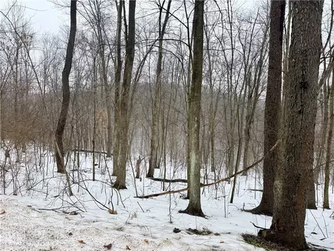 0 Cadogen Slatelick Rd, Kittanning, PA 16201