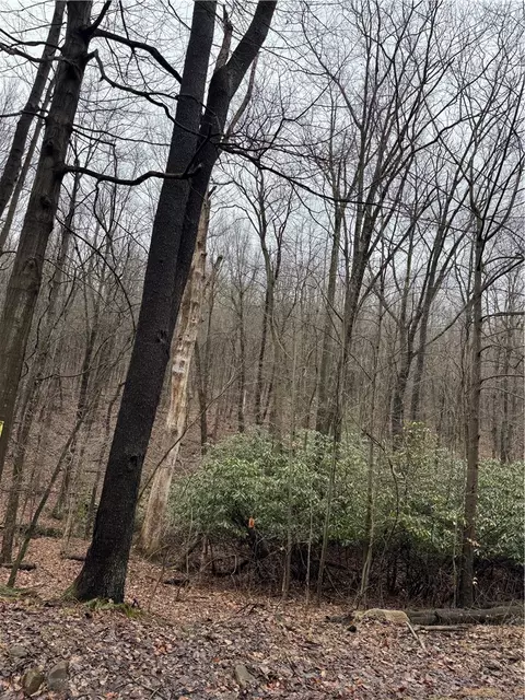 0 Spruce Hollow Rd, Connellsville, PA 15425