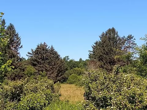 lot10 Rt 618, Conneaut Lake, PA 16316