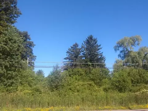 lot11 Rt 618, Conneaut Lake, PA 16316
