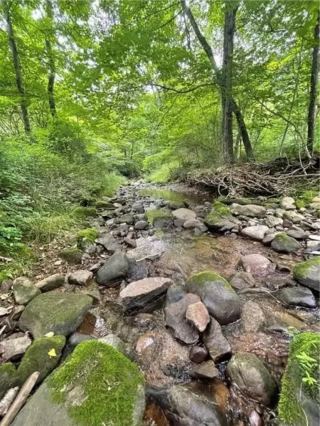 00 Greenlee Rd Lot #1A, Polk, PA 16342