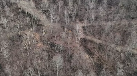 64 Acres Along Gallagher Loop Rds, Dayton, PA 16222