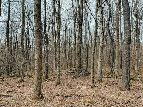 lot F-1 Fern Mountain Rd, Somerset, PA 15501