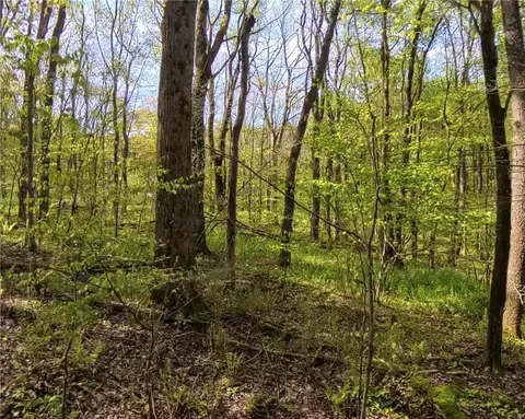 lot F-1 Fern Mountain Rd, Somerset, PA 15501