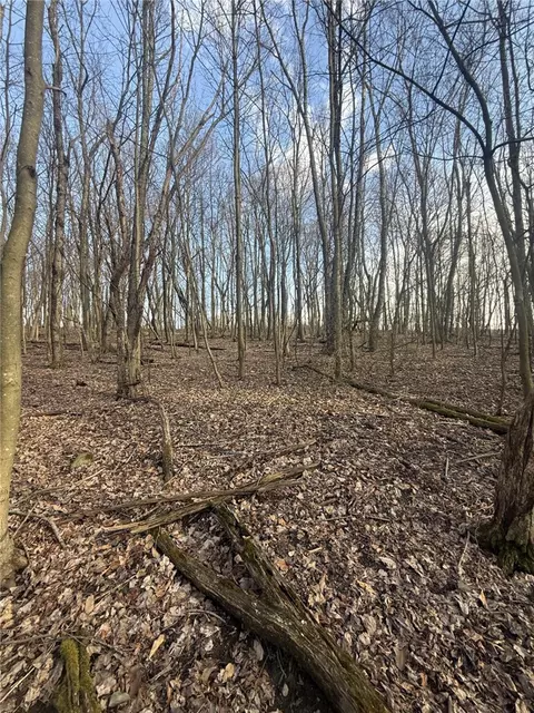 0 Main St, Lemont Furnace, PA 15456