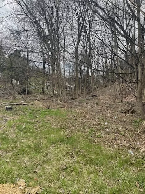 0 Spring St, West Mifflin, PA 15122