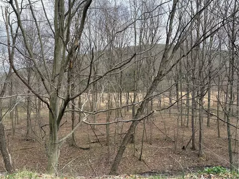 0 Philson Rd, Glencoe, PA 15543