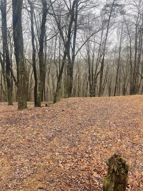 lot5 Blauser Ln, Petrolia, PA 16050