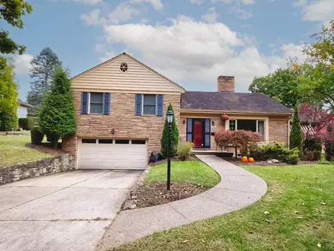 1787 Theodan, Pittsburgh, PA 15216
