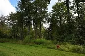 lot Apt 7 Ptarmigan, Champion, PA 15622