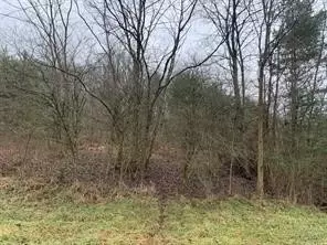 lot6 Ringertown Rd, Export, PA 15632