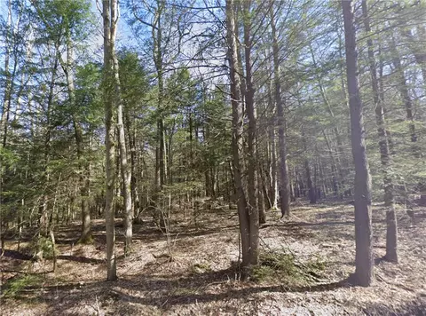 00 Stagers Rd, Summerhill, PA 15958