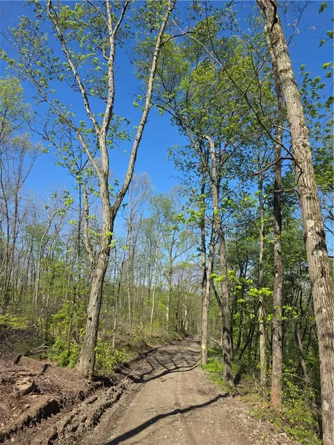 2210 Ramer Rd, Shelocta, PA 15774