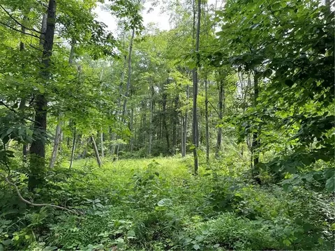 lot4 Cranberry Rd, Confluence, PA 15424
