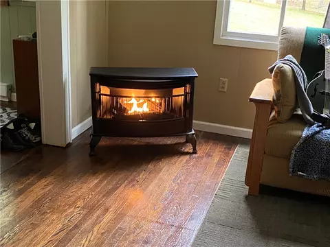 Living - 154 Eicher Rd, Confluence, PA 15424 photo 3 of 4