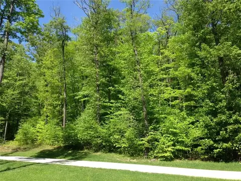 lot28 Grouse Pt, Champion, PA 15622
