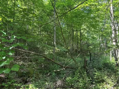 000 Fowl Hill Rd, Melcroft, PA 15462
