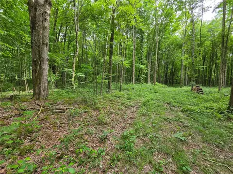 0 Fox Mine Rd, Jackson Center, PA 16133