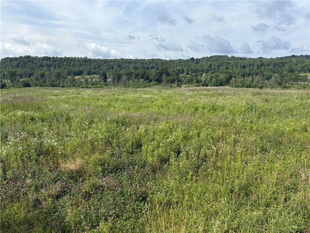 0 Beaver Dam Rd, New Galilee, PA 16141