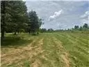 Other - 218 Hatfield, Smock, PA 15480 photo 4 of 4