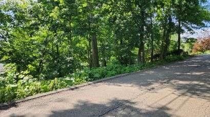 0 S Park Rd, Bethel Park, PA 15102