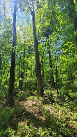 000 Camp Achievement Rd, Connellsville, PA 15469