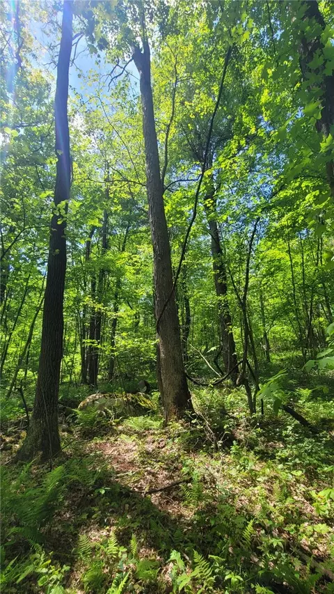 000 Camp Achievement Rd, Connellsville, PA 15469