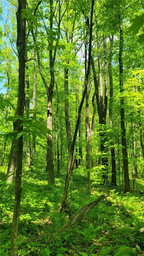 180 Hawkins Hollow Rd, Connellsville, PA 15425