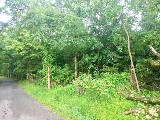 0 Palko Rd, Saltsburg, PA 15681