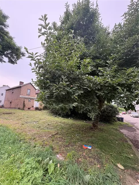 Exterior - 907 Walnut St, Braddock, PA 15104 photo 10 of 12