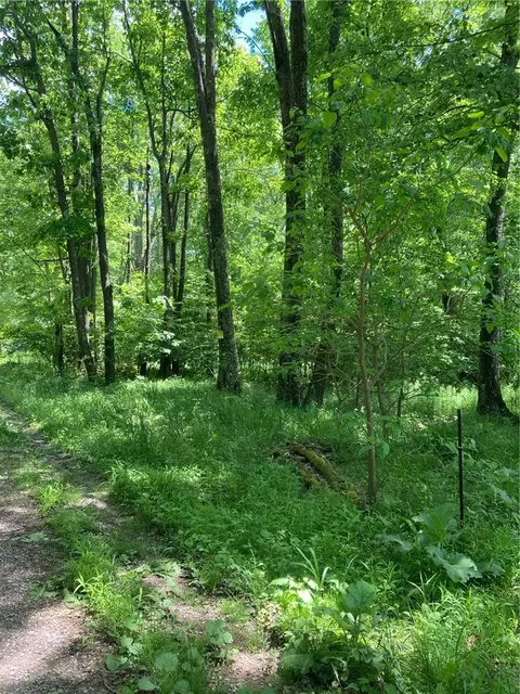 0 Sandy Run Rd, Confluence, PA 15424 photo 2
