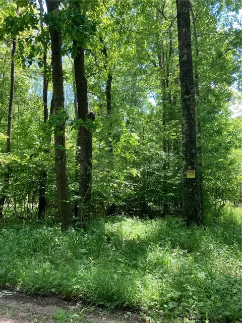 0 Sandy Run Rd, Confluence, PA 15424 photo 3