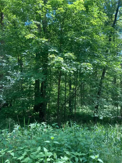 0 Sandy Run Rd, Confluence, PA 15424 photo 5