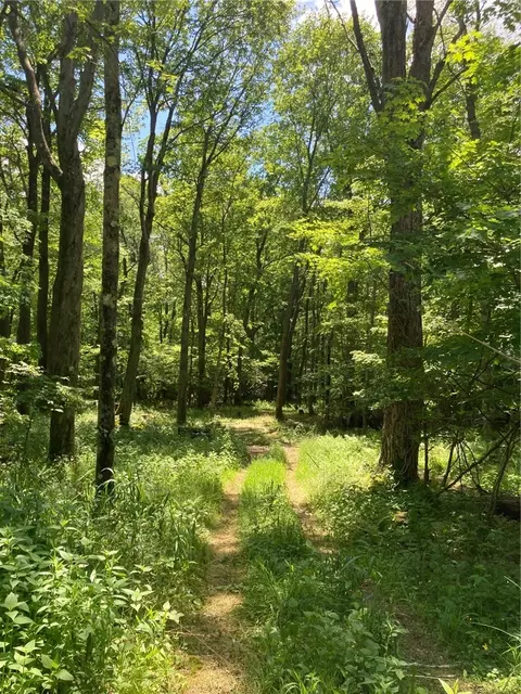 0 Sandy Run Rd, Confluence, PA 15424 photo 4