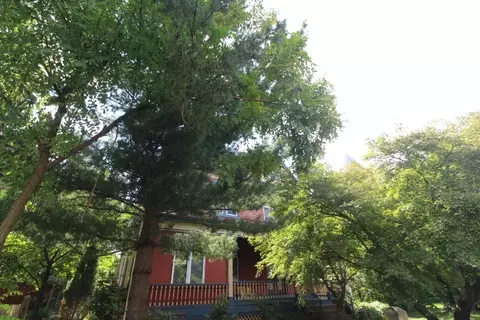 5546 Hays St, Pittsburgh, PA 15206