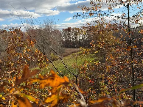 000 Borowicz, New Wilmington, PA 16142