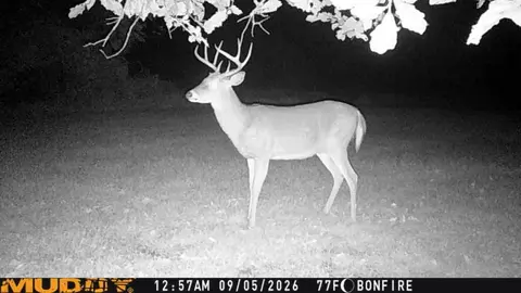 Other - 343 Walker Rd, Apollo, PA 15613 photo 10 of 10