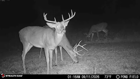 Other - 343 Walker Rd, Apollo, PA 15613 photo 9 of 10
