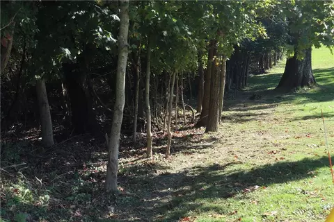 0 Watkins Rd, Brownsville, PA 15417