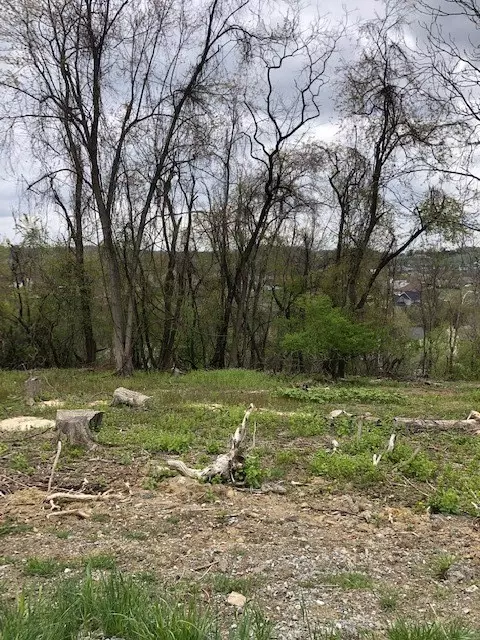 0111 Ridge Rd, South Park, PA 15129