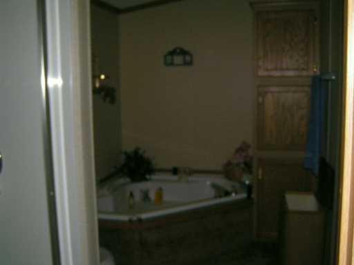 230 Alexander Pl, Export, PA 15632 photo 5