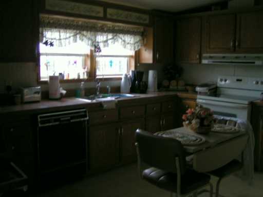 230 Alexander Pl, Export, PA 15632 photo 3