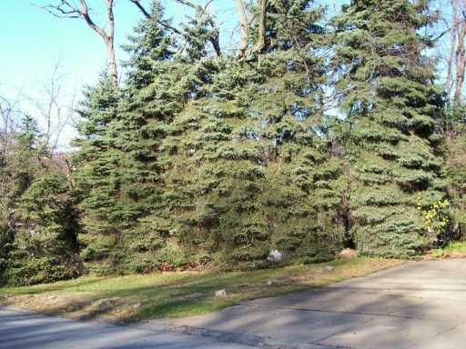 329 Ridgeview Dr, Braddock, PA 15104 photo 7