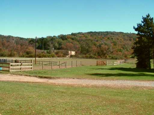 559 Pine Run Rd, Apollo, PA 15613 photo 8