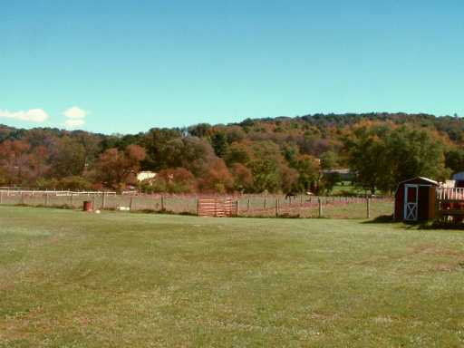 559 Pine Run Rd, Apollo, PA 15613 photo 5