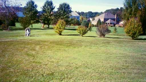 2238 Manordale Dr, Export, PA 15632 photo 6