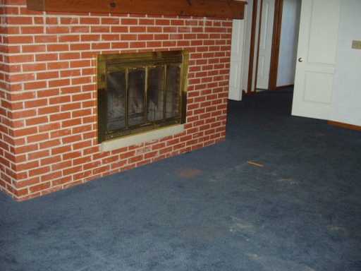 3551 Hilty Rd, Export, PA 15632 photo 6